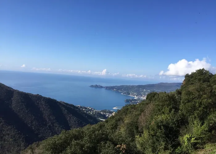 Top Hotel e Alloggi a Rapallo