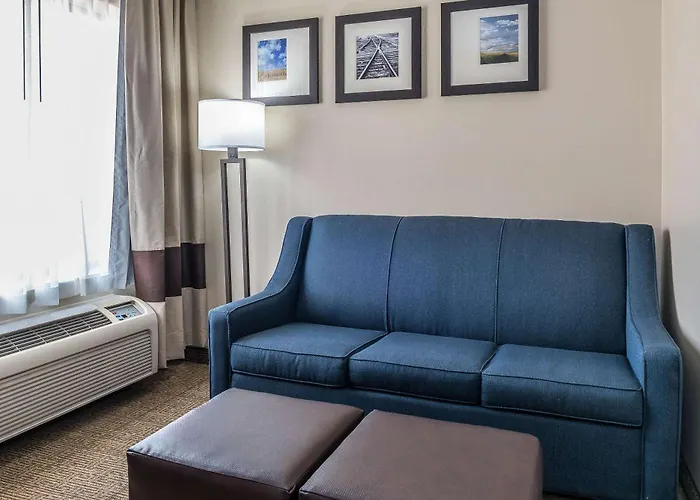 Best Delta Hotels Springfield Stay for Travelers