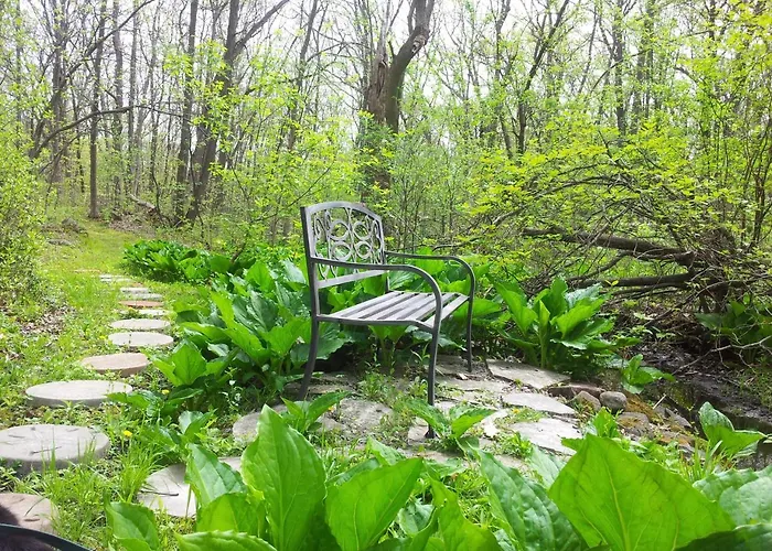 Best Hotels in Baraboo, Wisconsin's Charming Hub